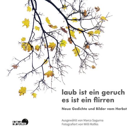 laub ist ein geruch es ist ein flirren, Buch