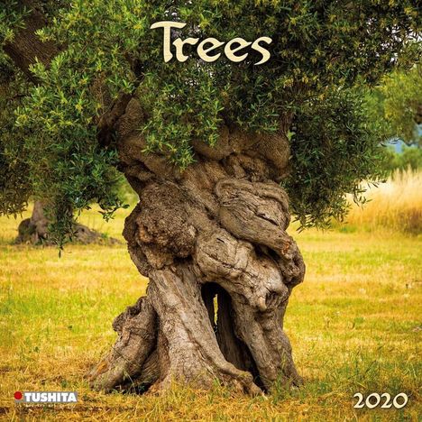 Trees 2020 Mindful Edition, Diverse