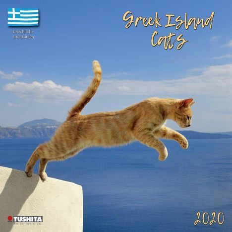 Greek Island Cats 2020 What a Wonderful World, Diverse