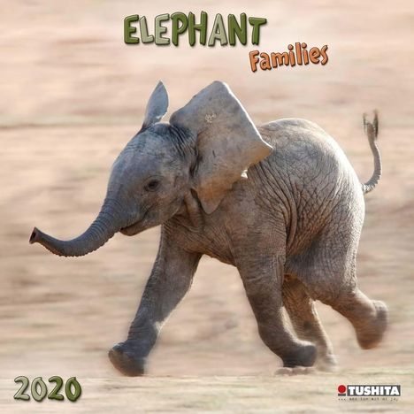 Elephant Families 2020 What a Wonderful World, Diverse