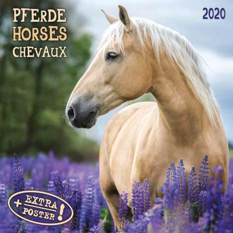 Pferde- Horses - Cheveaux 2020 Artwork, Diverse