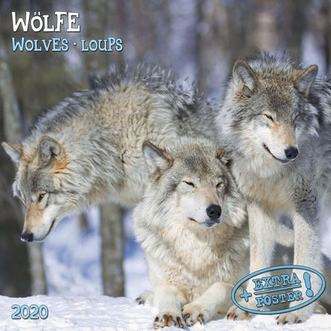 Wölfe - Wolves - Loups 2020 Artwork, Diverse