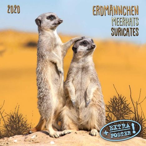 Erdmännchen - Merkats - Suricates 2020 Artwork, Diverse