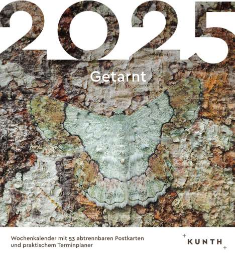 Getarnt - KUNTH Postkartenkalender 2025, Kalender