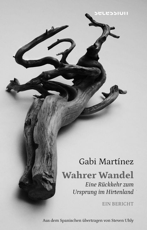 Gabi Martínez: Wahrer Wandel, Buch