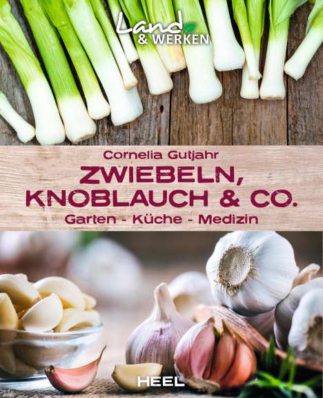 Cornelia Gutjahr: Zwiebeln, Knoblauch &amp; Co. - Garten - Küche - Medizin, Buch