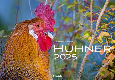 J. -L. Klein: Hühner Kalender 2025, Kalender