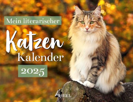 Mein Literarischer Katzenkalender 2025 Wandkalender, Kalender