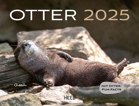 Otter Kalender 2025 Wandkalender, Kalender