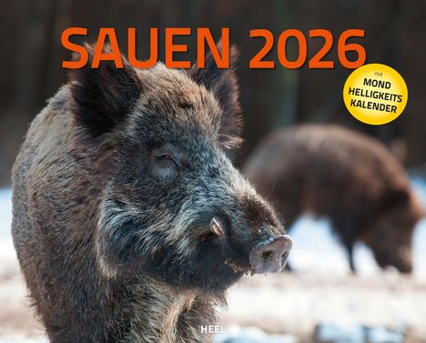 Sauen Kalender 2026 Jagd-Kalender im XXL-Format, Kalender