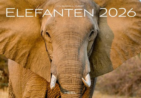 J. -L. Klein: Elefanten Kalender 2026, Kalender