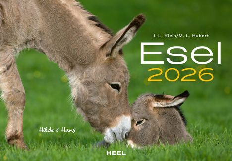 J. -L. Klein: Esel Kalender 2026, Kalender