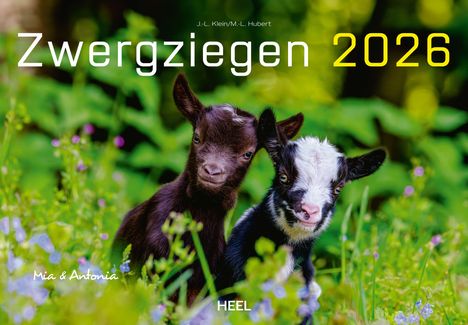 J. -L. Klein: Kalender Zwergziegen 2026, Kalender