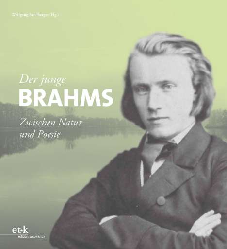 Der junge Brahms, Buch