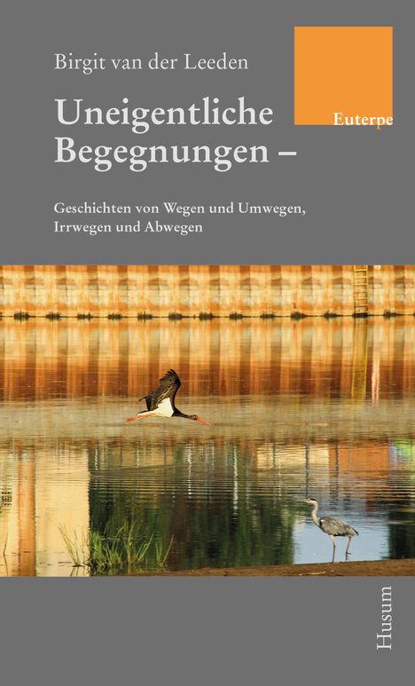 Birgit van der Leeden: Uneigentliche Begegnungen, Buch