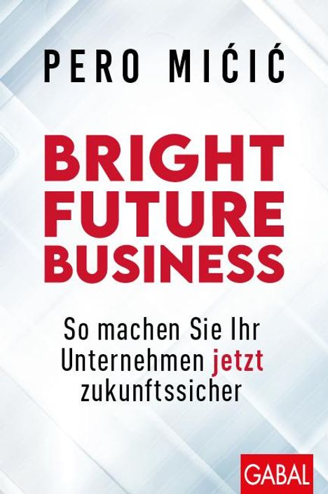 Pero Micic: Bright Future Business, Buch