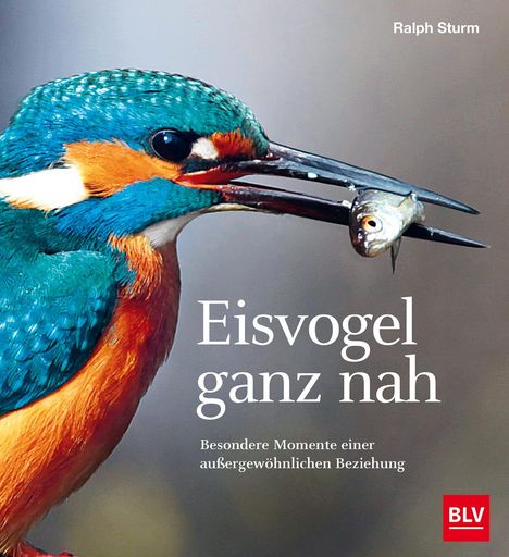 Ralph Sturm: Eisvogel ganz nah, Buch