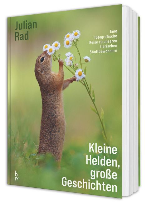 Buchcover mit Text: „Julian Rad“, „Kleine Helden, große Geschichten“. Ein Erdmännchen riecht an Gänseblümchen.
