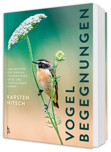Text: "VOGEL BEGEGNUNGEN", "VON MEISTERN DER TARNUNG, FISCHERN OHNE ANGEL UND UNSCHULDIGEN DIEBEN", "KARSTEN NITSCH." Ein Vogel auf einer Blume.