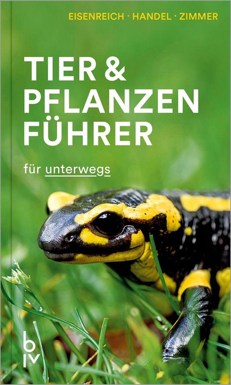 Ute E. Zimmer: Tier- & Pflanzenführer, Buch