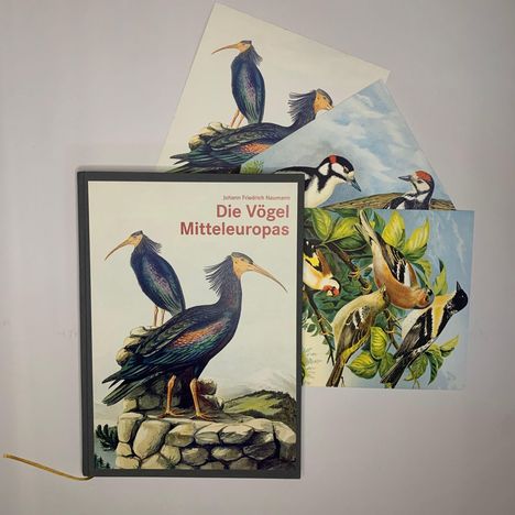 "Die Vögel Mitteleuropas" zeigt Illustrationen von Vögeln.