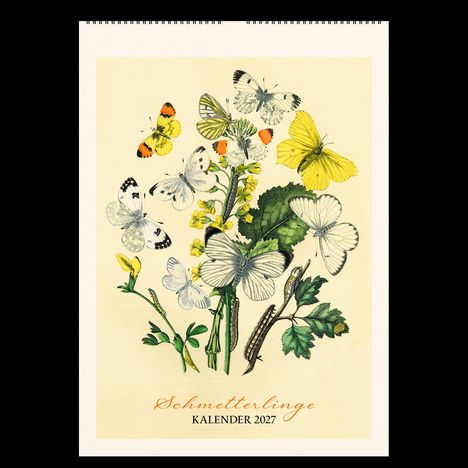 „Schmetterlinge Kalender 2027“. Illustration von Schmetterlingen auf gelben Blüten und grünen Blättern.
