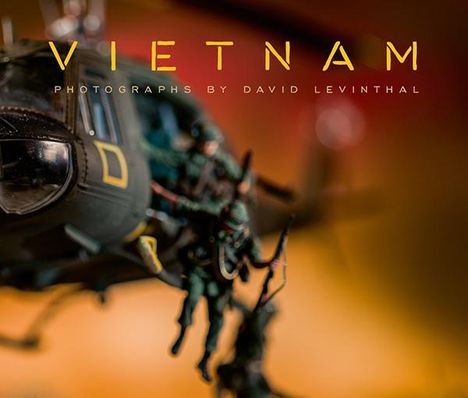 David Levinthal: David Levinthal, Buch