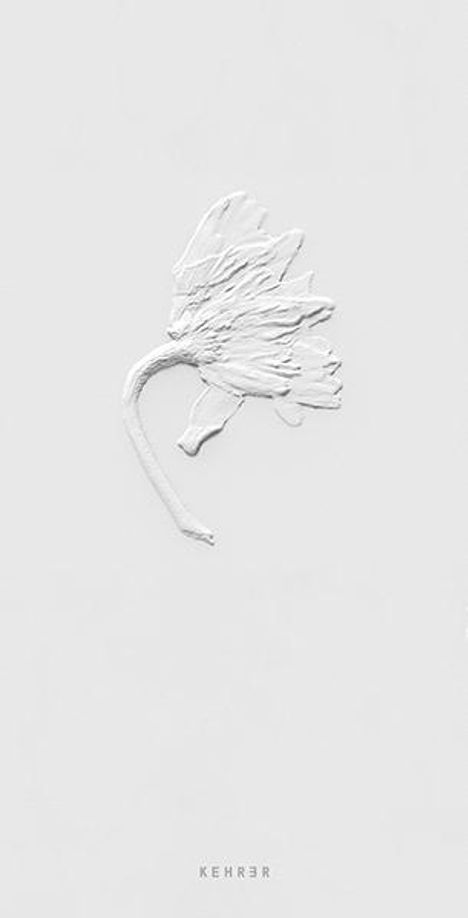 Sarah Schorr: Sarah Schorr, Buch