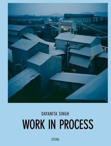 Dayanita Singh: Dayanita Singh: Work in Process, Buch