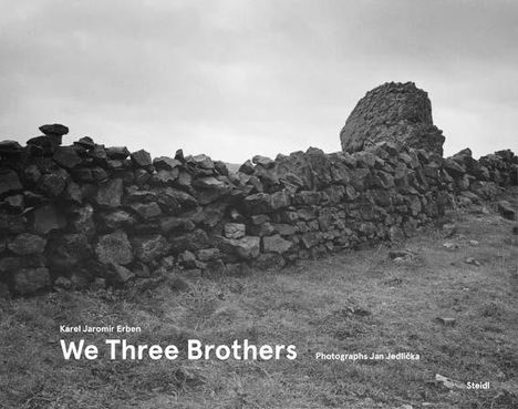 Karel Jaromír Erben: We Three Brothers, Buch