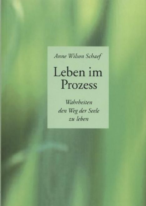 Anne Wilson Schaef: Leben im Prozess, Buch