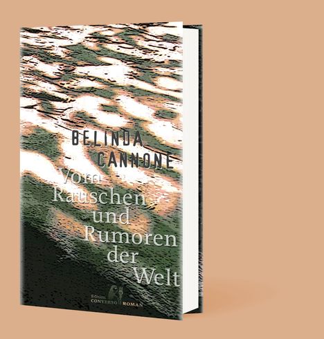 Belinda Cannone: Cannone, B: Vom Rauschen und Rumoren der Welt, Buch