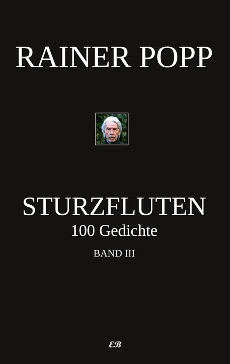 Rainer Popp: Sturzfluten, Buch