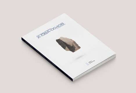 Domstein-Mission X-DBA-00408, Buch