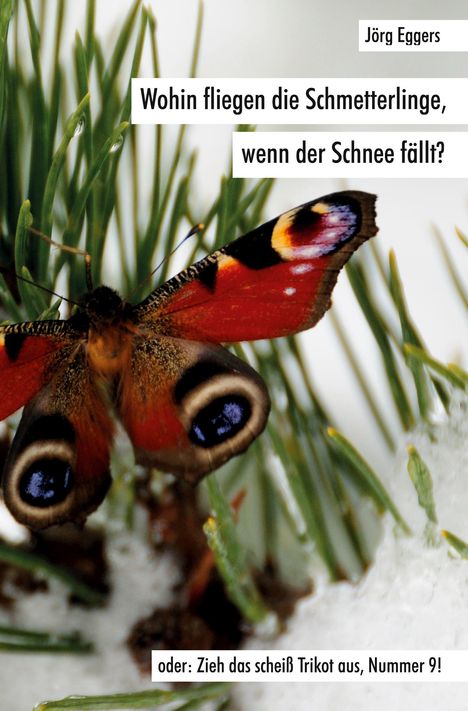 Jörg Eggers: Wohin fliegen die Schmetterlinge, wenn der Schnee fällt?, Buch