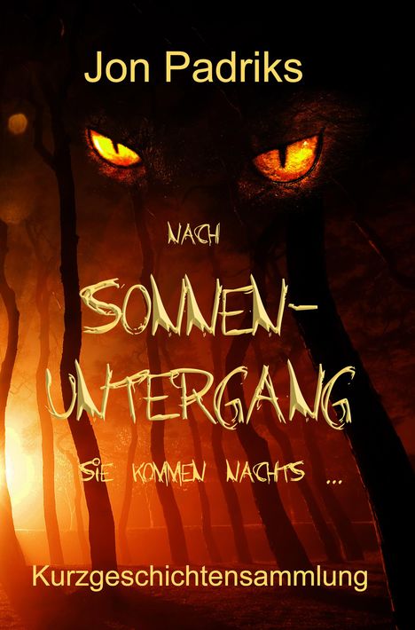 Jon Padriks: Nach Sonnenuntergang, Buch