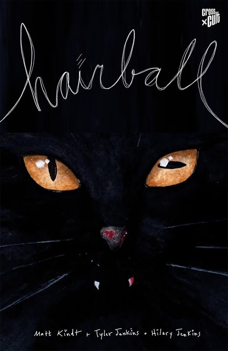 Matt Kindt: Hairball, Buch