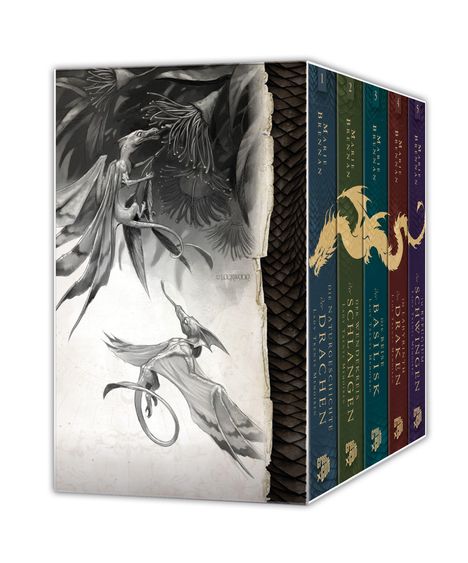 1: Naturgeschichte der Drachen. Buntes Buchset. Drachenillustration fliegt um Blumen.