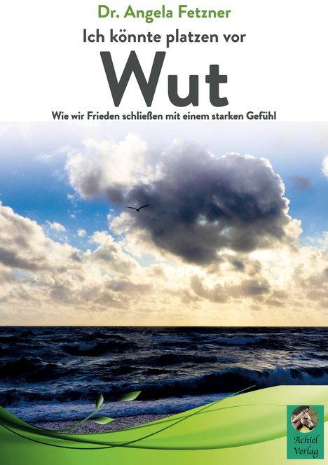 Angela Fetzner: Ich könnte platzen vor Wut, Buch