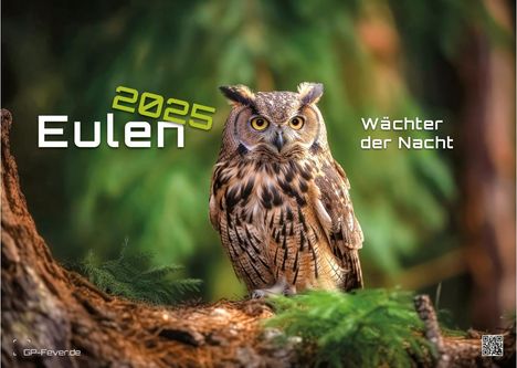 Eulen - Wächter der Nacht - 2025 - Kalender DIN A3, Kalender