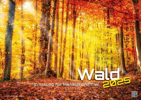 Wald - Erholung für Mensch und Tier - 2025 - Kalender DIN A2, Kalender