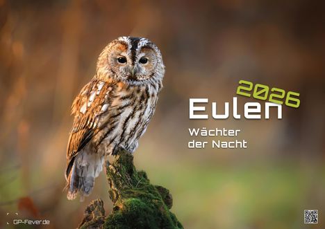 Eulen - Wächter der Nacht - 2026 - Kalender DIN A2, Kalender