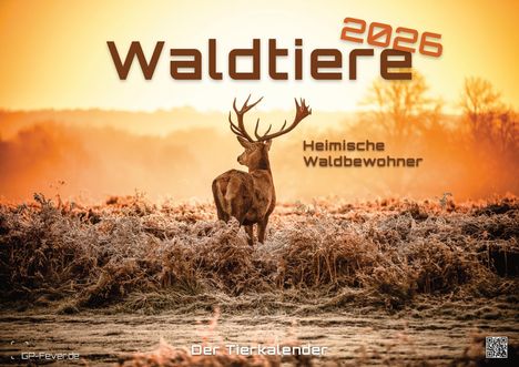 Waldtiere - Heimische Waldbewohner - Der Tierkalender - 2026 - Kalender DIN A2, Kalender