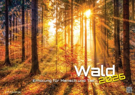 Wald - Erholung für Mensch und Tier - 2026 - Kalender DIN A3, Kalender