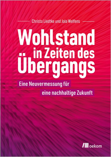 Jola Welfens: Wohlstand in Zeiten des Übergangs, Buch