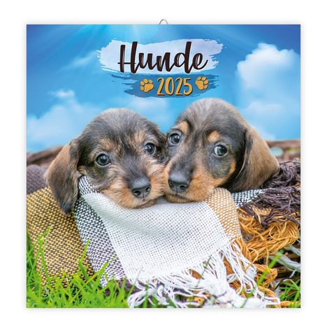 Trötsch Broschürenkalender Hunde 2025, Kalender