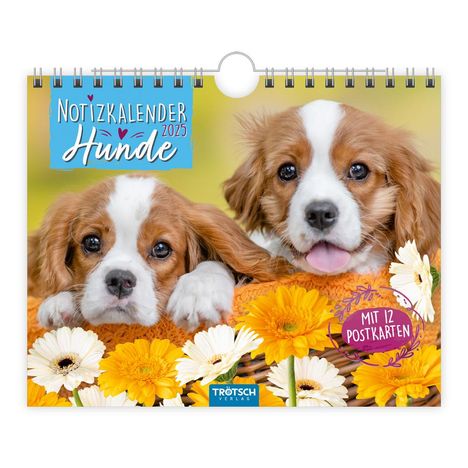 Trötsch Notizkalender Querformat Notizkalender Hunde 2025 mit 12 Postkarten, Kalender