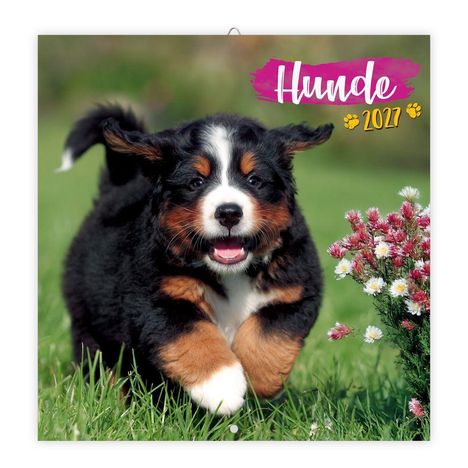 Text: "Hunde 2021". Ein fröhlicher Welpe rennt über grünes Gras neben bunten Blumen.