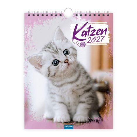 Text: "Katzen 2027". Ein Kalender mit einem niedlichen grau-weißen Kätzchen, das aufmerksam schaut.