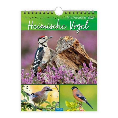 „Heimische Vögel, Wochenkalender 2027“. Drei Vögel in Naturkulisse, oben ein Specht, unten zwei andere Vögel.
